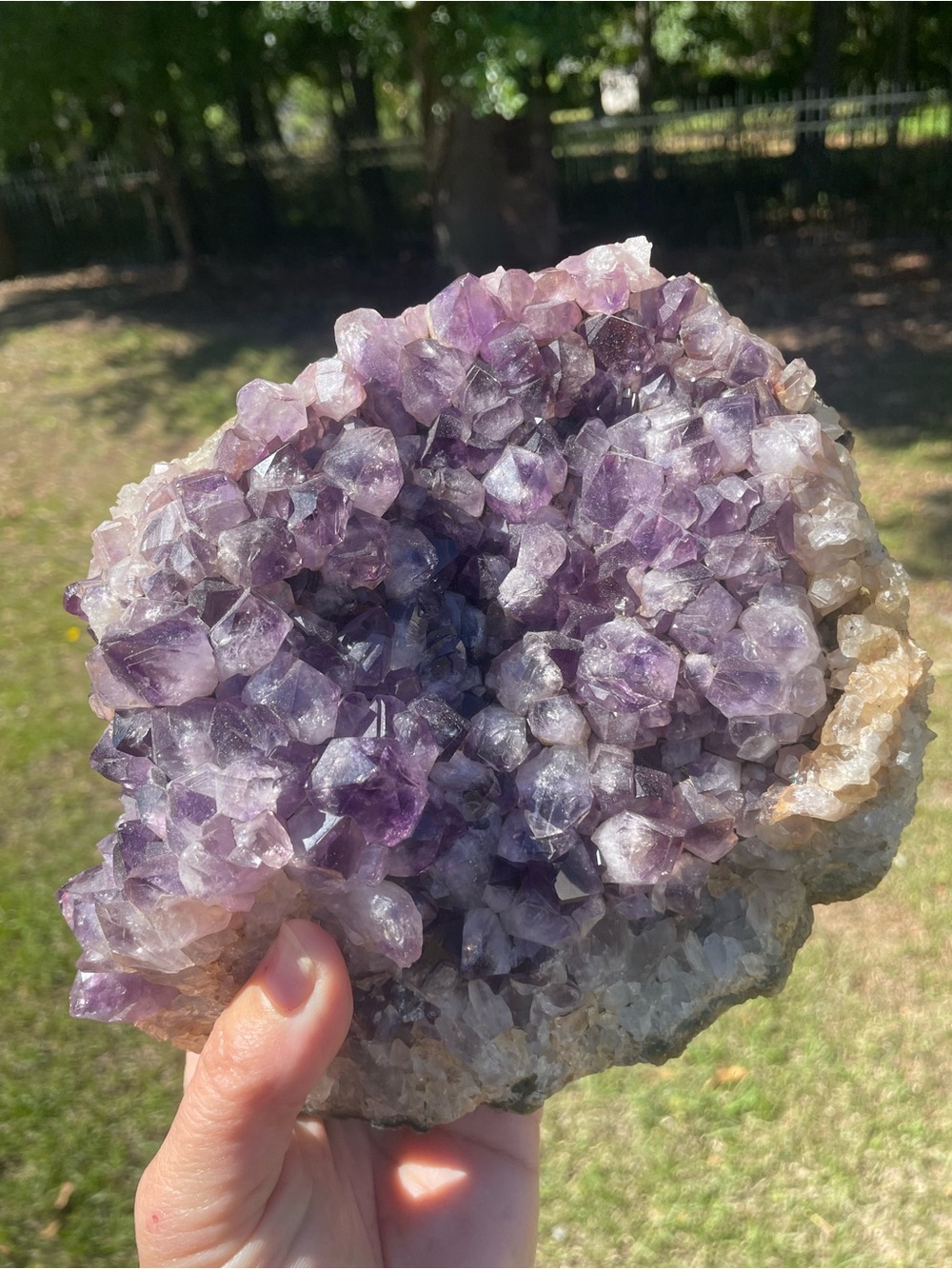 ✨ CLEARANCE ✨ Uruguay amethyst cluster over five pounds